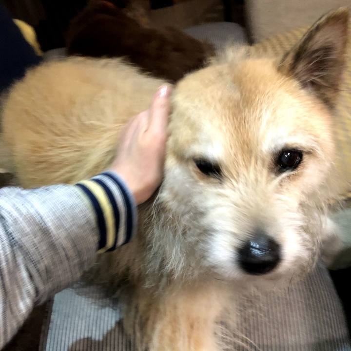 88d4d149 442c 4ae3 a3a7 96599eebbb95 1556465171190