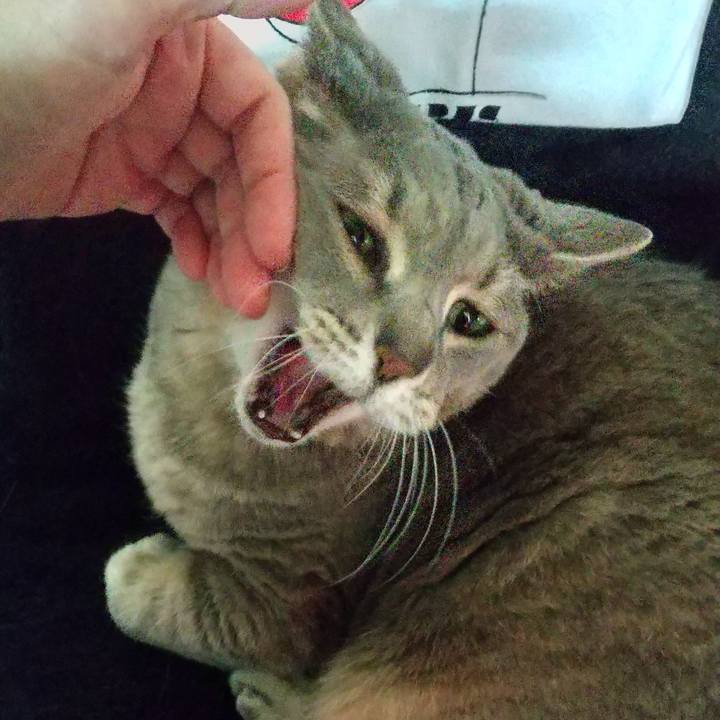 88d4decf 002f 42f2 abcf 6b8af2643df1 1647473486593