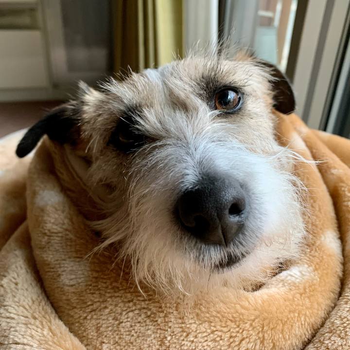 88d4efd7 4c12 42ca b718 ca14d2ded9b7 1679835730152