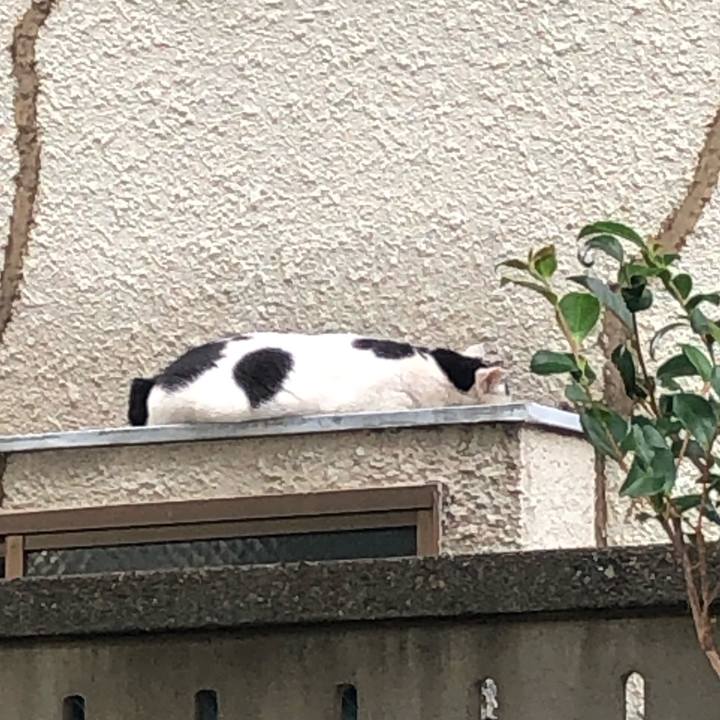 88d52828 637f 427f a36f a5ce73e7e0f8 1603573275606