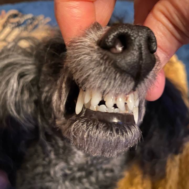 88d547c9 fbf4 4dc2 bd2f 9c12c959bc1c 1711416182700