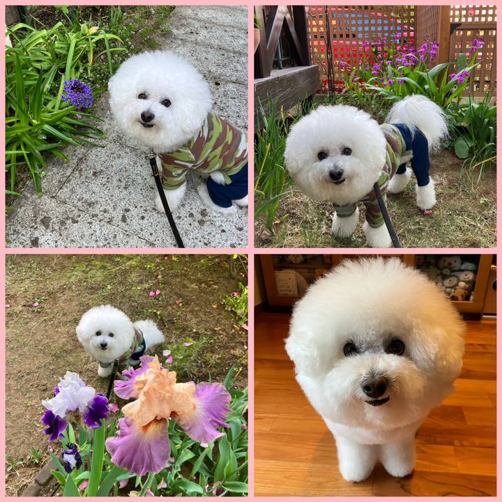 88d55073 53a5 4e34 8fc4 4c0f8d87f220 1683149478517