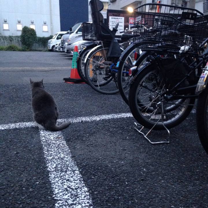 88d5514d aad1 4a5f 9e9c 237042814e63 1508326962765