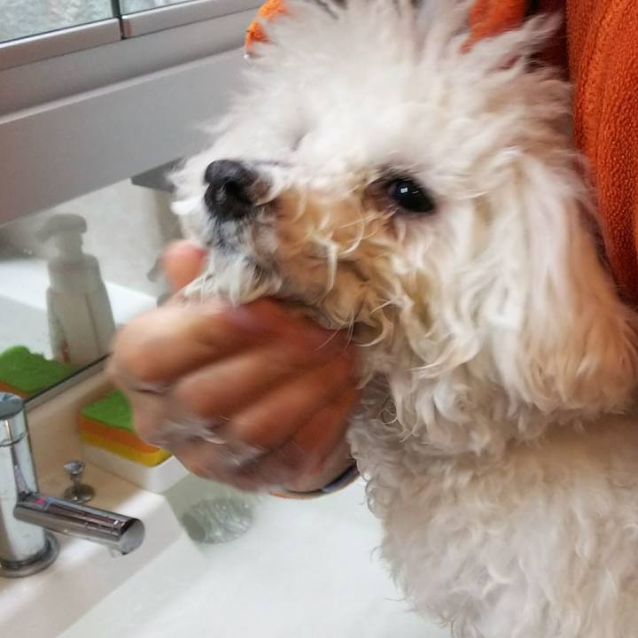 88d574c8 1906 420c 8208 f15adf5504ef 1512446266492