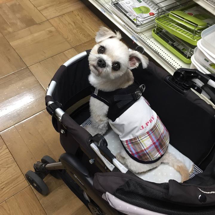 88d57cdb bca4 4e94 9e7d e6d6177d5a98 1534413765581