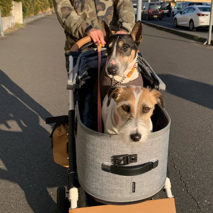 88d595ee 6334 4253 9c68 bc1f4b75672a 1614429378832