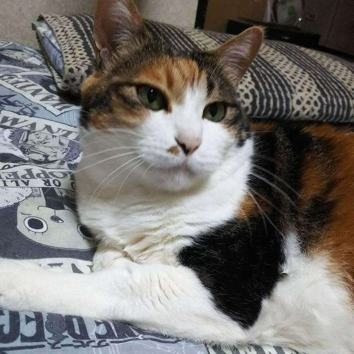 88d59f22 c296 4ea6 b72d 7343cda405d9 1531863172679