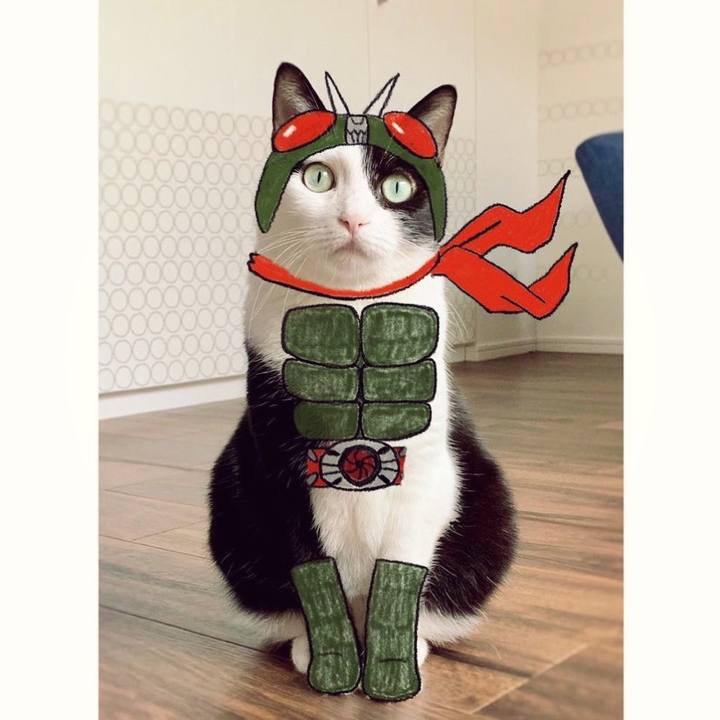 88d5c53c edab 44f0 a1d0 fef50031a81b 1680390137379