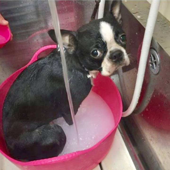 88d5e317 95e5 4fe4 8a62 6875a20ad305 1514200923586