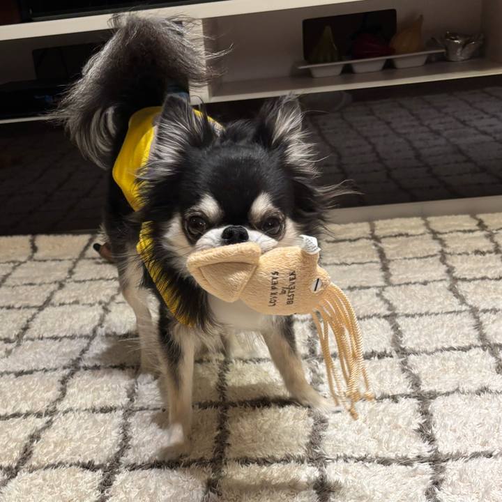 88d62dd3 4f6e 4d88 a8a8 5b9b78acd00a 1738512158233