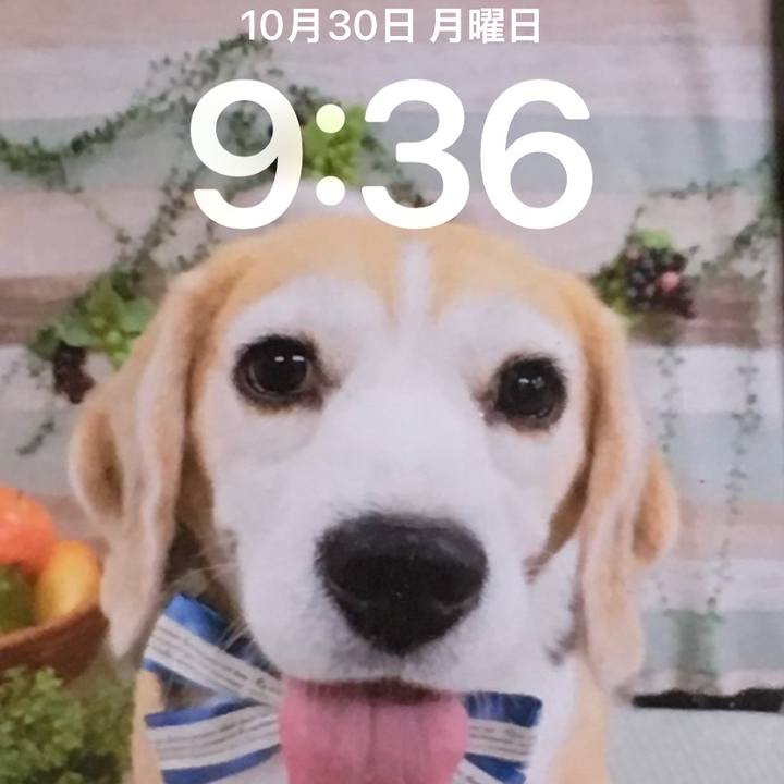 88d630b3 c62b 49bd 8c2b f5207216f13d 1698626641104