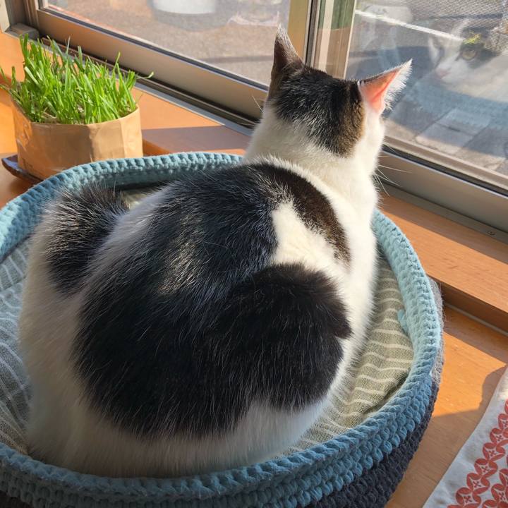 88d63204 b24c 448c 9998 96a5222276b4 1713998567280