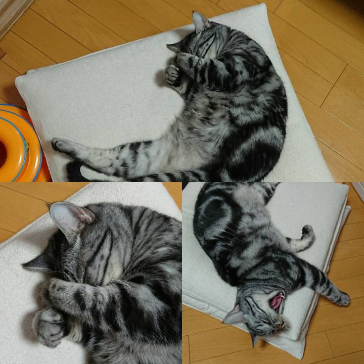 88d63c9a 18e6 4321 84c3 206ba433e692 1560151514405