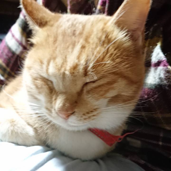 88d63d90 e438 4bf4 8fc9 85d7d7b2199d 1574820732113