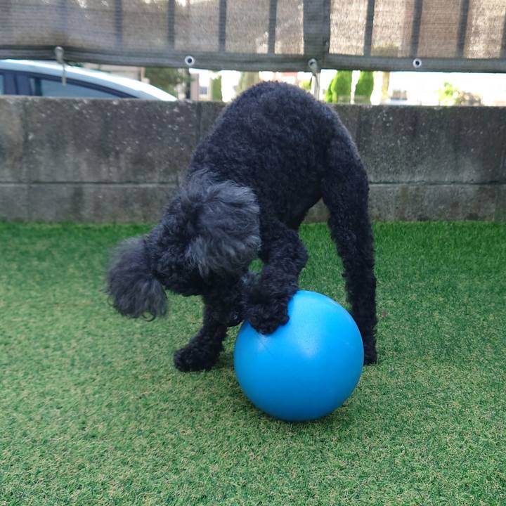 88d64767 82a0 4c3f a254 80f19e004a72 1758151780883