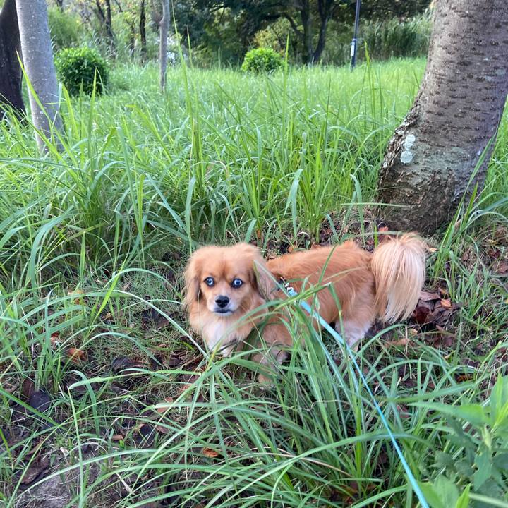 88d66f55 2bea 4964 96fc beacc3ca2cd2 1600724606906