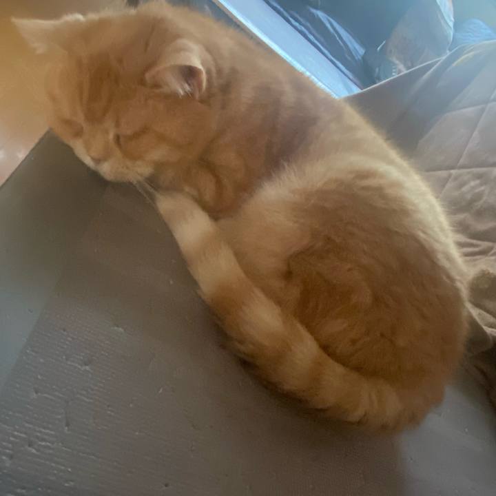 88d67584 1bc2 4d49 bb9a 9d4f3d14ddb6 1650977832439