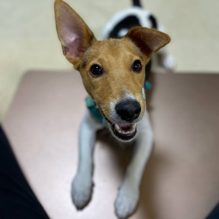 88d67e69 6b7d 4243 b36c 7810eced6894 1751893755975