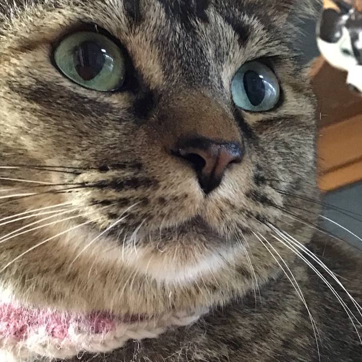 88d686d7 0046 41e7 b65c 5aae871ce2c8 1716720373263