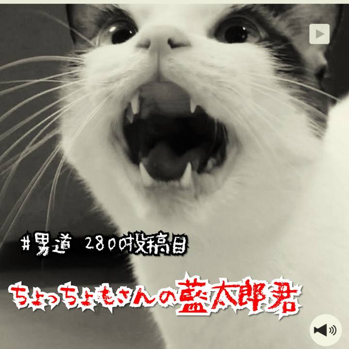 88d68740 7036 45c4 a07b 5336725e8d09 1568862806073