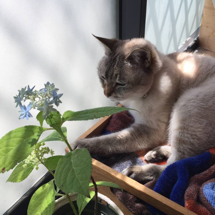 88d68869 104d 42bf 990b ebddc5c6bc1a 1557202040241