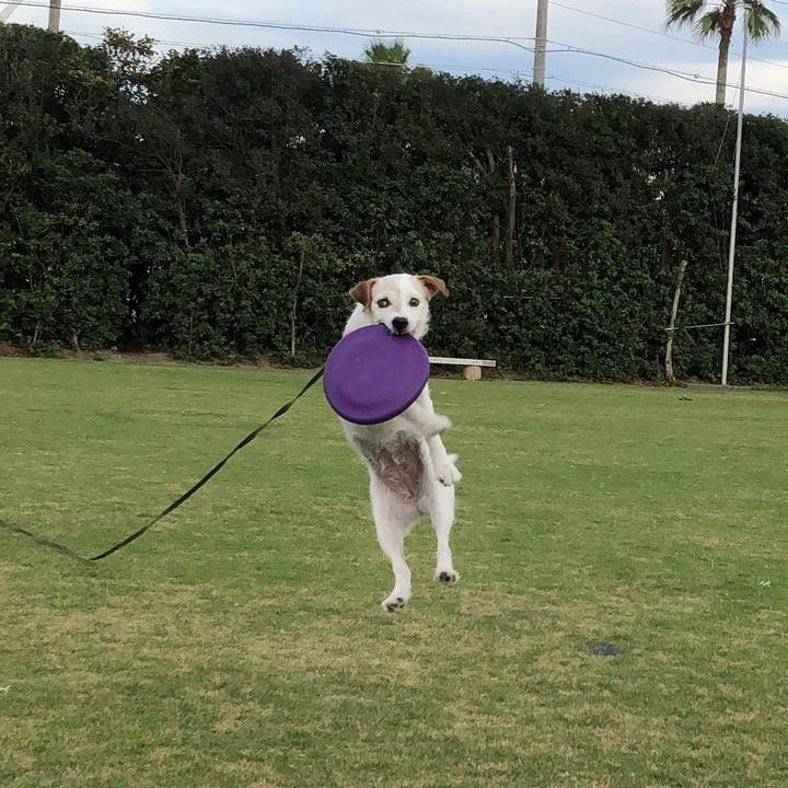 88d6fc6d 6b1d 4924 8be7 6c546dc07a2b 1537177587946