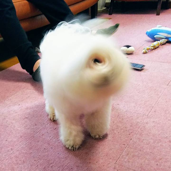 88d6fef7 f0dc 45f6 ad7f e0e3cfbfa412 1544318629331