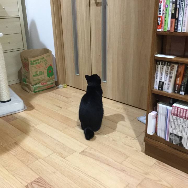 88d700a5 b9c7 4358 b6cb a21dfde06a7b 1525908162133