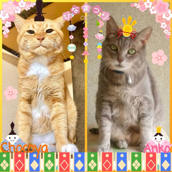 88d71e44 7962 4b02 b437 f8920f3362dd 1772517588793