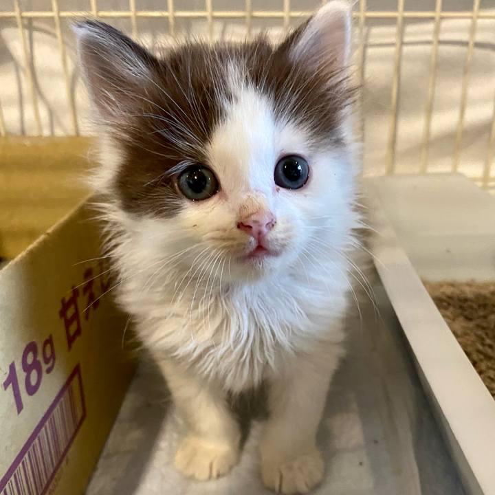 88d727d4 c118 4ca0 aeec 263cd4d8b9f0 1684401327183