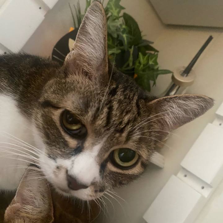 88d76e3f 2a74 4c4e a41b 38342bc18ad1 1633060216472