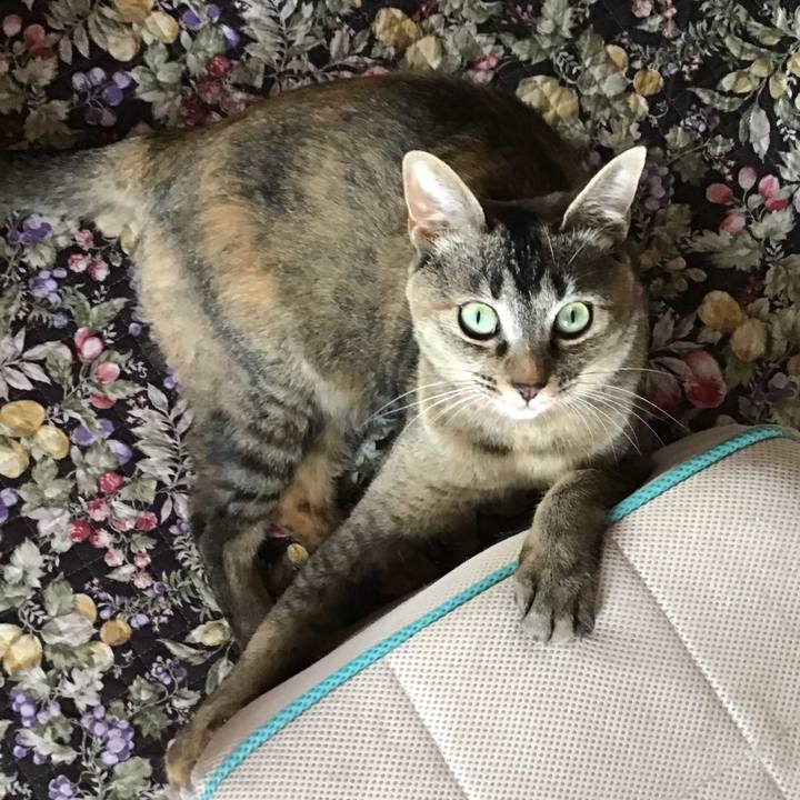 88d78e62 9204 4a4c aae3 67be76ebfdb5 1592638169372