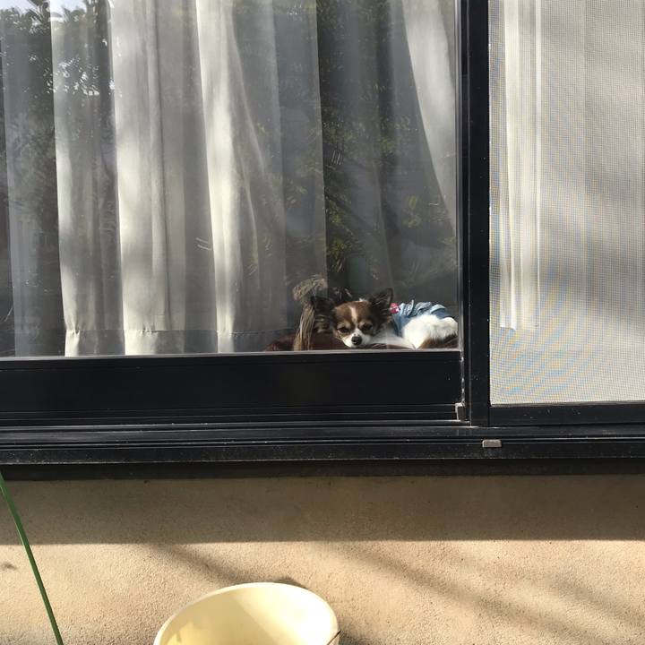 88d78f9e ea6d 4be0 b2af 09b8b73ce07d 1543205547243