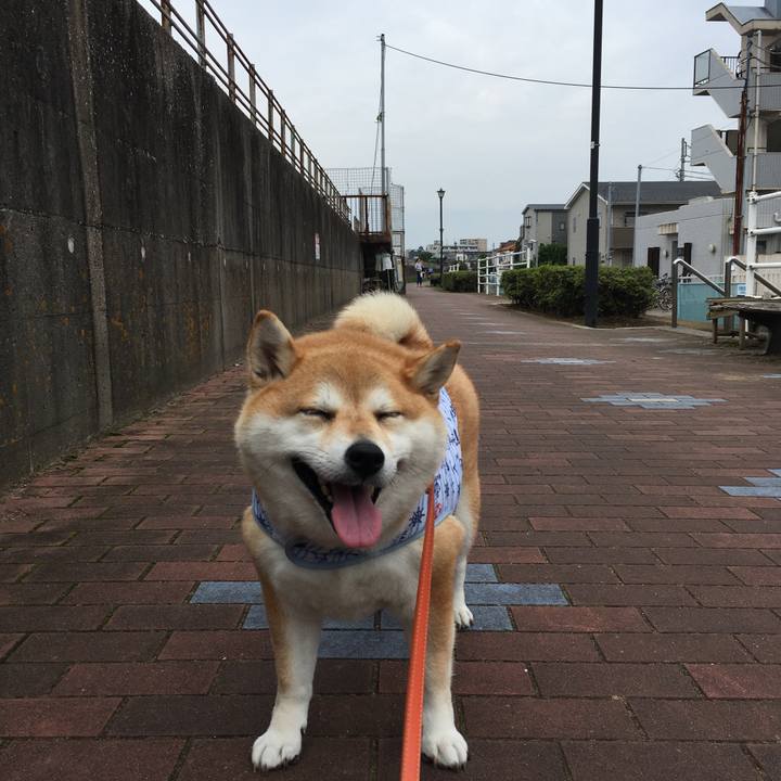 88d7a169 570b 4934 98e8 185846149f89 1563601329420