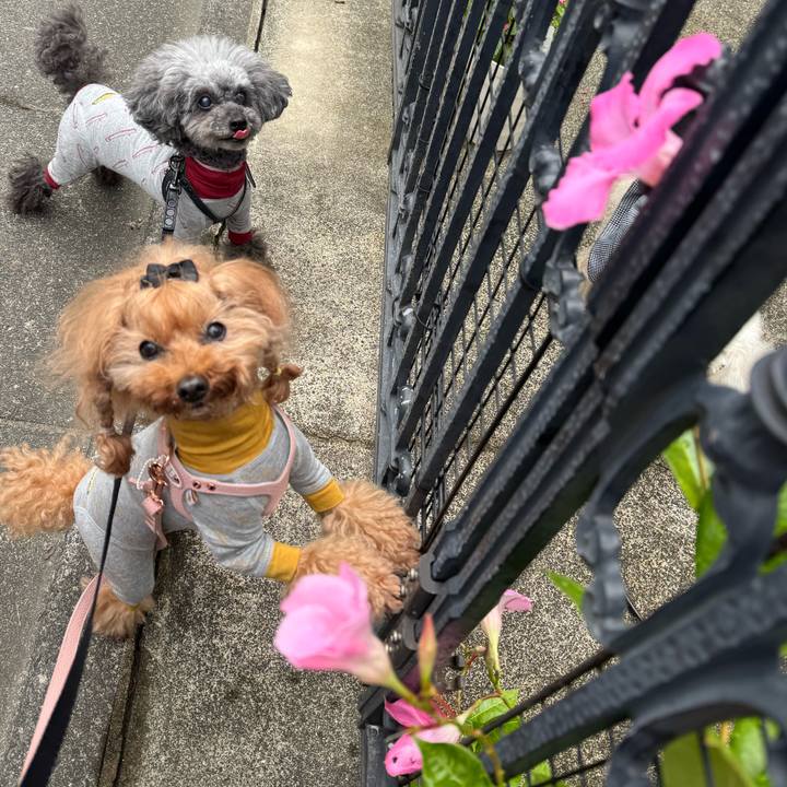 88d7a7b0 f86c 4846 a626 7aa98d6bd207 1760500249381