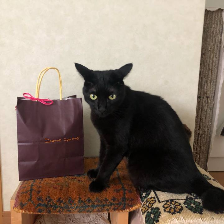 88d7ba87 4811 4119 b6e6 8426e206a5d7 1597048464726