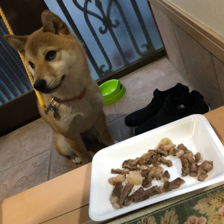 88d7c5d4 160f 44d4 8e40 944c21beb103 1526468340177