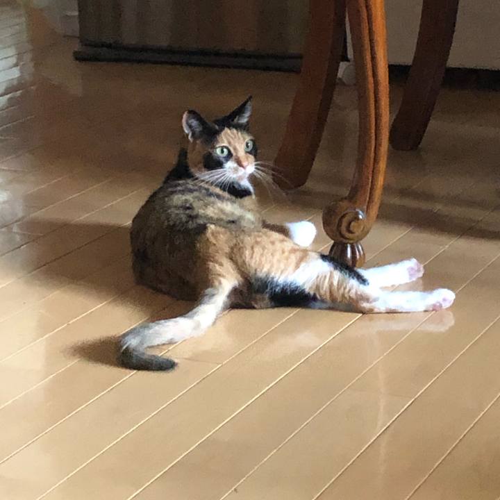 88d7de7a 040f 4875 8b3a 4c5d8d857e09 1565217164476