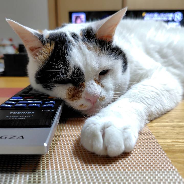 88d8003d 4138 41c7 964d 45ee5b06696a 1725110316547