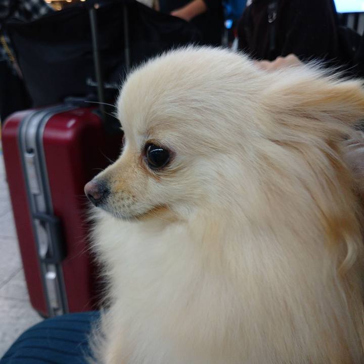 88d808af 66d0 47e5 8b0d 4321c8db0b97 1572858970799