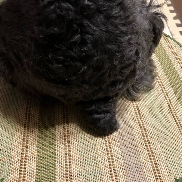 88d80aa8 f208 4d37 8b81 0e38aee058ae 1532519335493