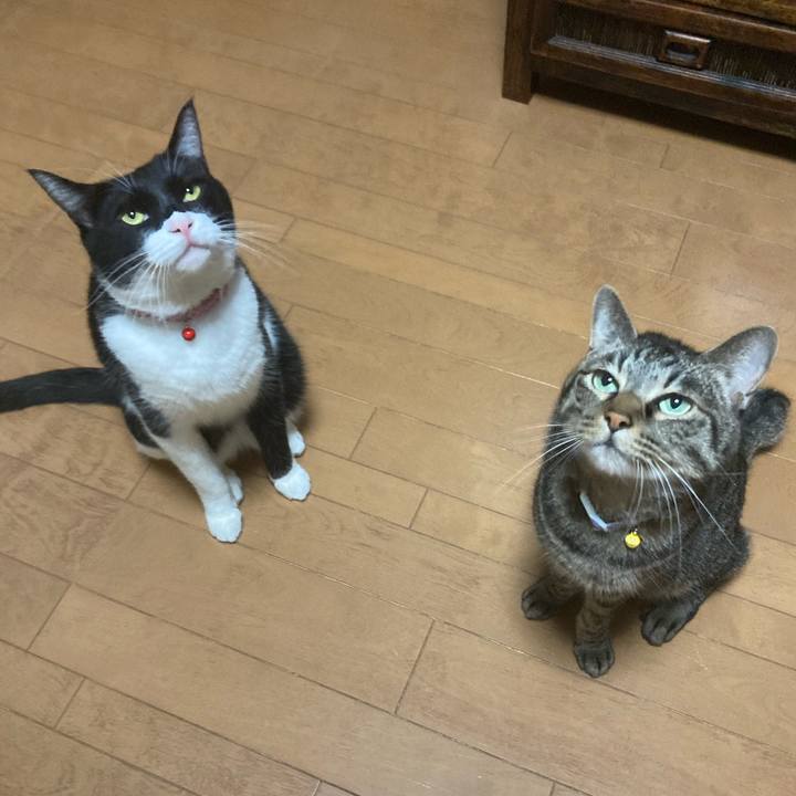 88d81390 bad6 46cc bb34 68121f8b280d 1637547845880