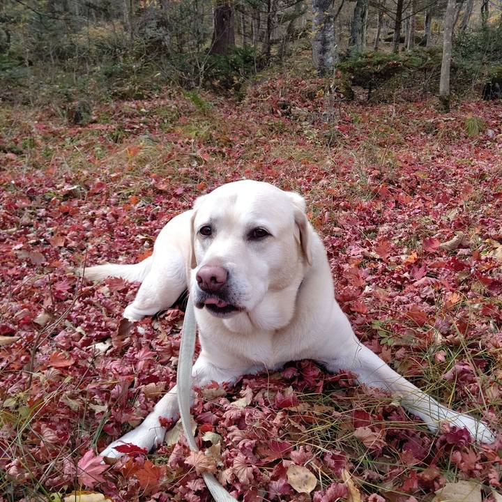 88d84c3b bea3 43a2 a652 e755104df6c6 1698460840663