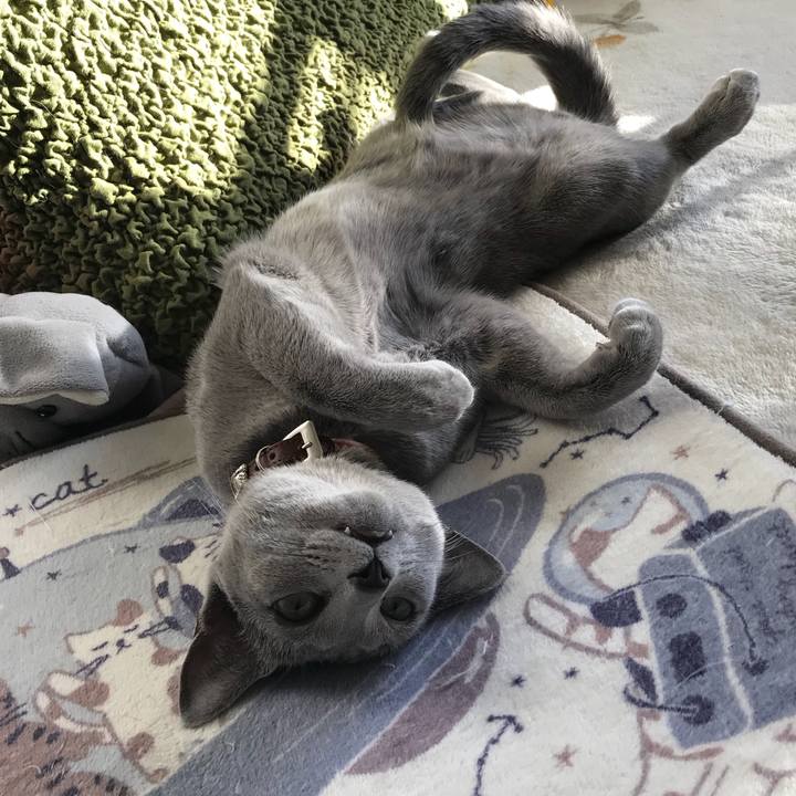 88d84caf 5c9a 45e2 8ce2 4ed69e2090e8 1519222181505