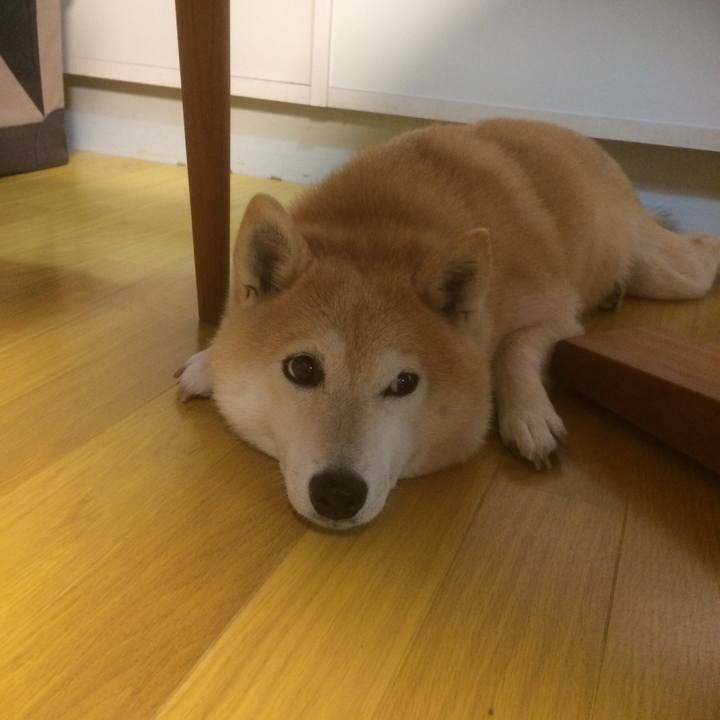 88d85f36 8492 456a bb62 c7ba58321872 1532533176833