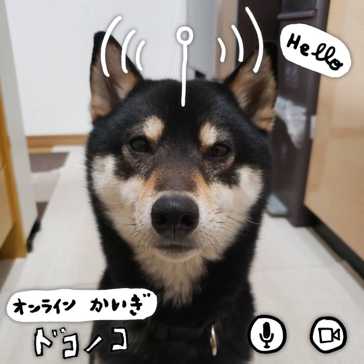 88d8659b 0fa2 46f2 9e23 9e77eb74ef18 1590676413197