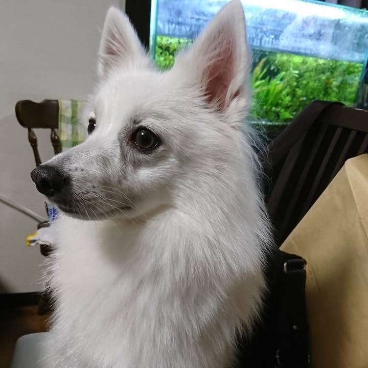 88d86660 571b 4448 a921 e498adcc0ea6 1537021230433