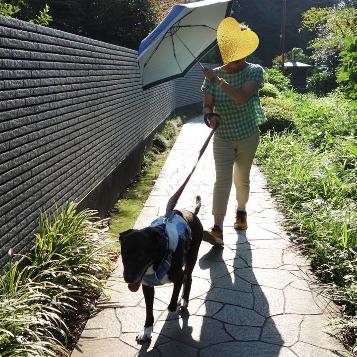 88d87399 59e7 4feb aaa4 6979fbe6574e 1721604906801