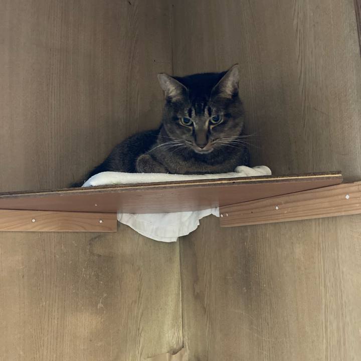 88d88545 a2c0 4627 be7e 66b8c1822865 1701595199994