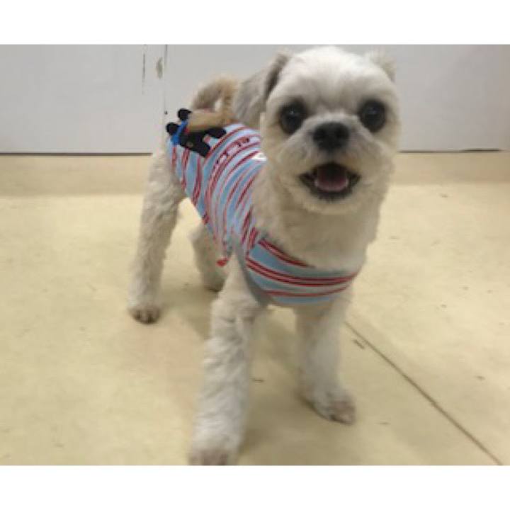 88d88f2b 4fe8 4d12 abe9 fb1368a1b552 1574079155411